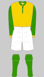 norwich city 1919